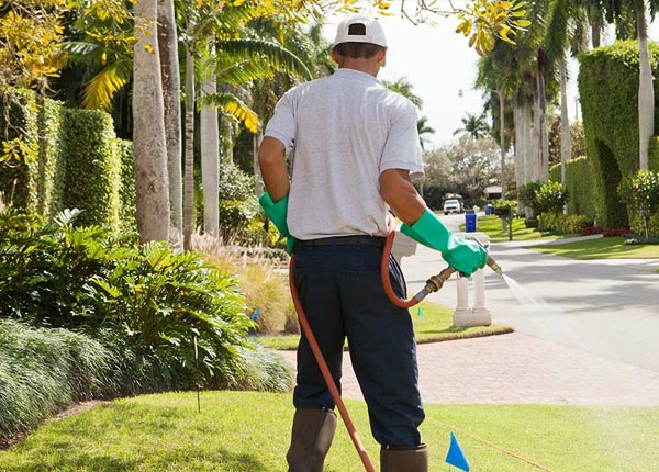 About Reedy WV Pest Control